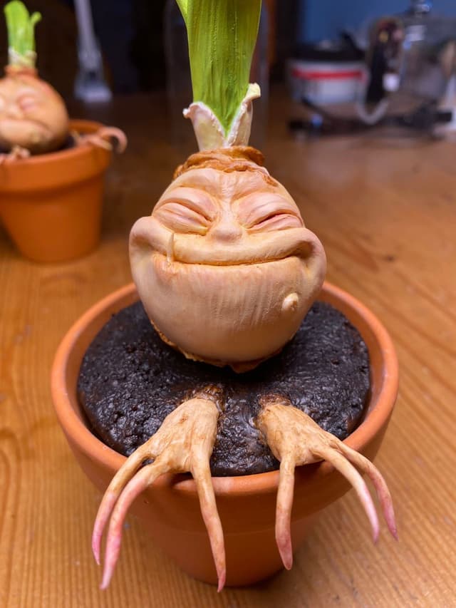 Bloembol